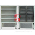 Class 100 Cold Steel Double Door Clean Cabinet / Laminar Air Flow Cabinet